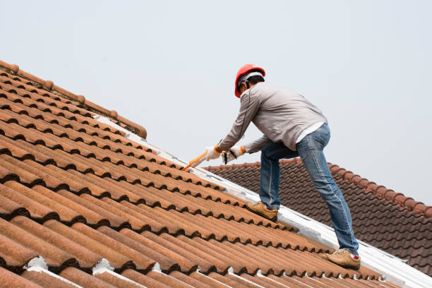 Roof Insulation in Palm Springs North, FL